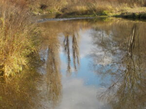 A - P - Hasal Jan - Zrcadlení